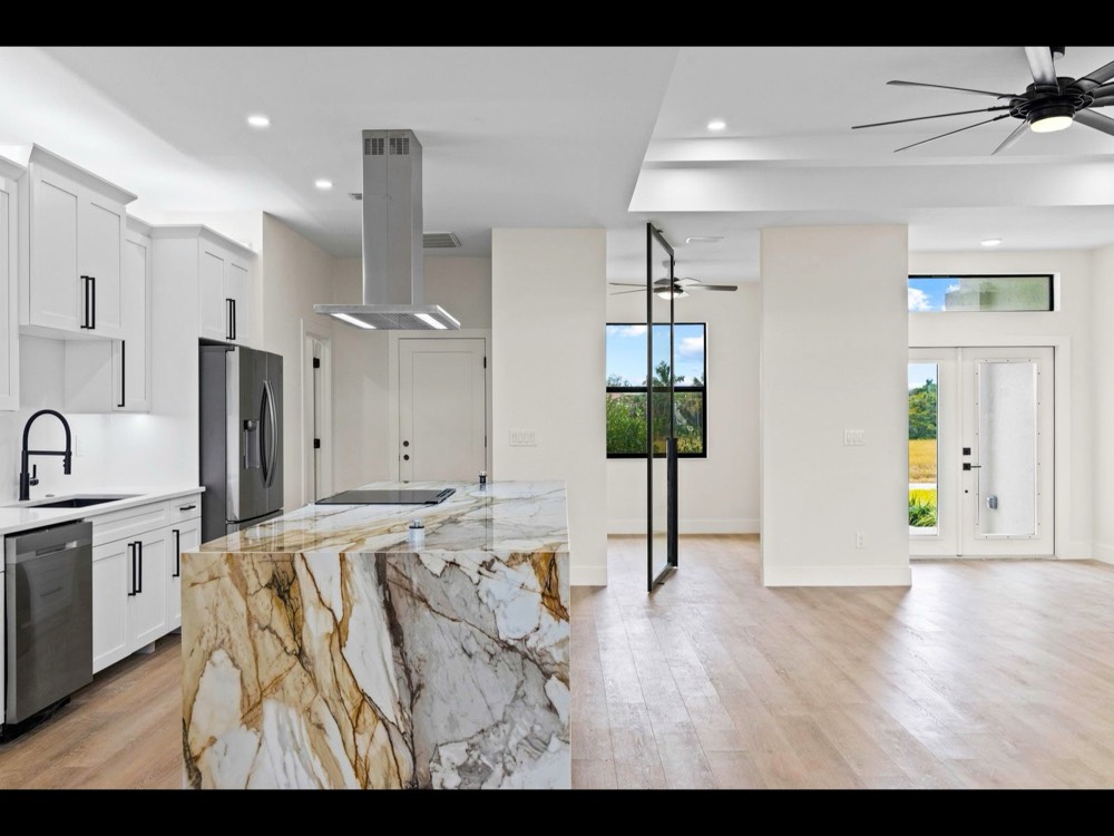 Single Pivot Door — Lightfall glass pivot door by Serene Glass, Houston TX