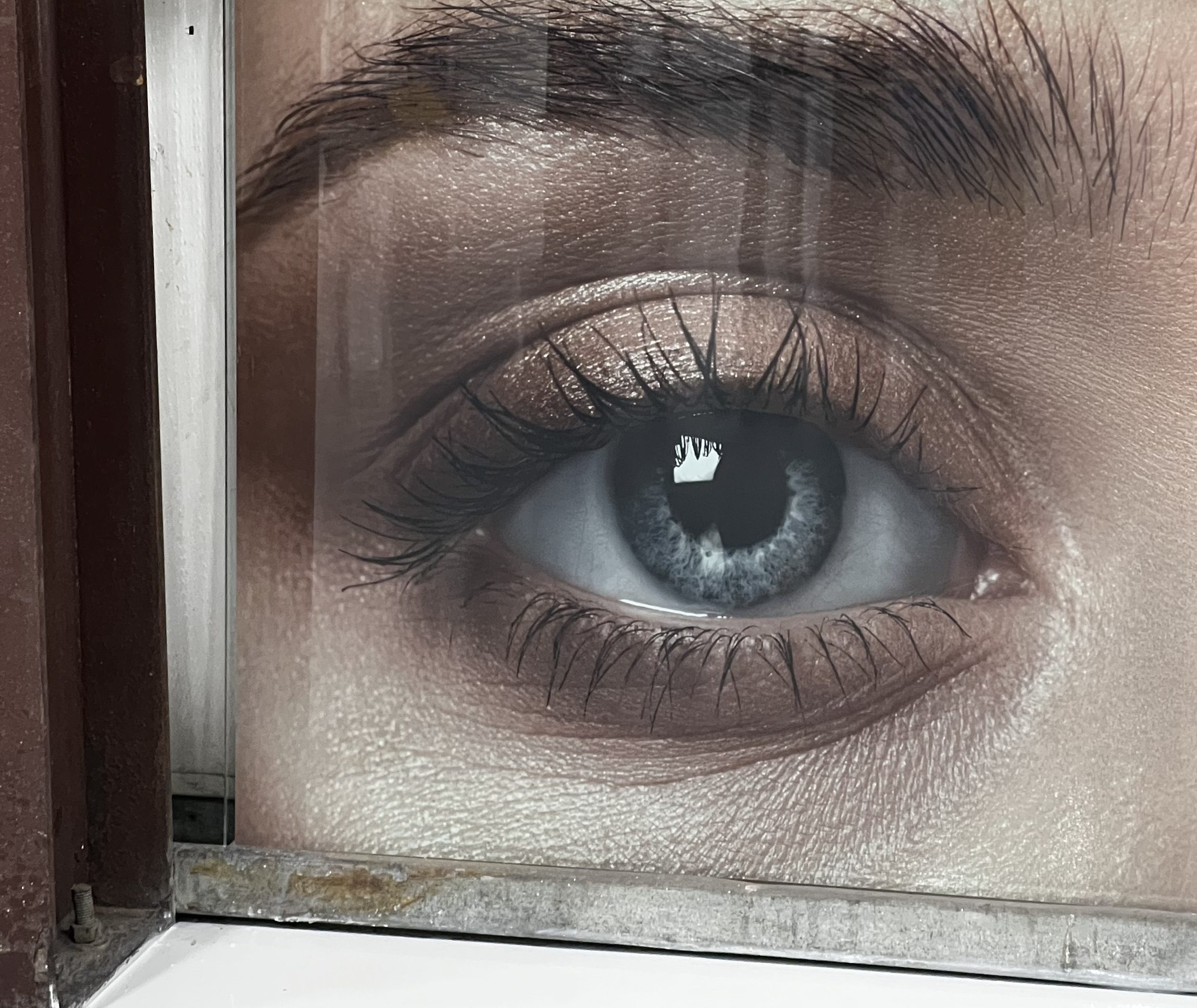 Macro eye photography printed on glass panel